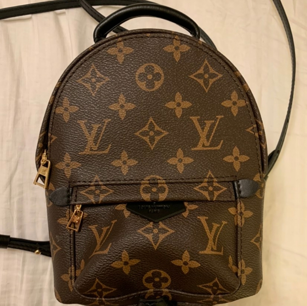 Louis Vuitton mini palmspring backpack